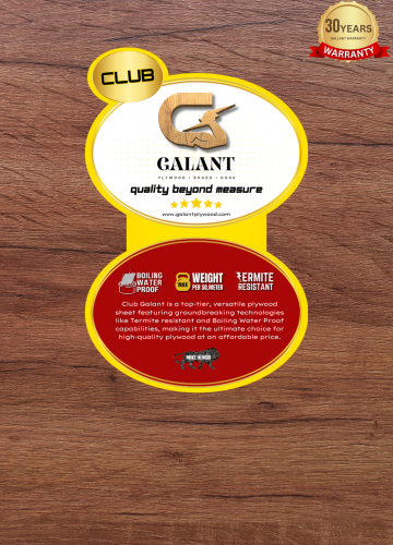 Galant Club Plywood